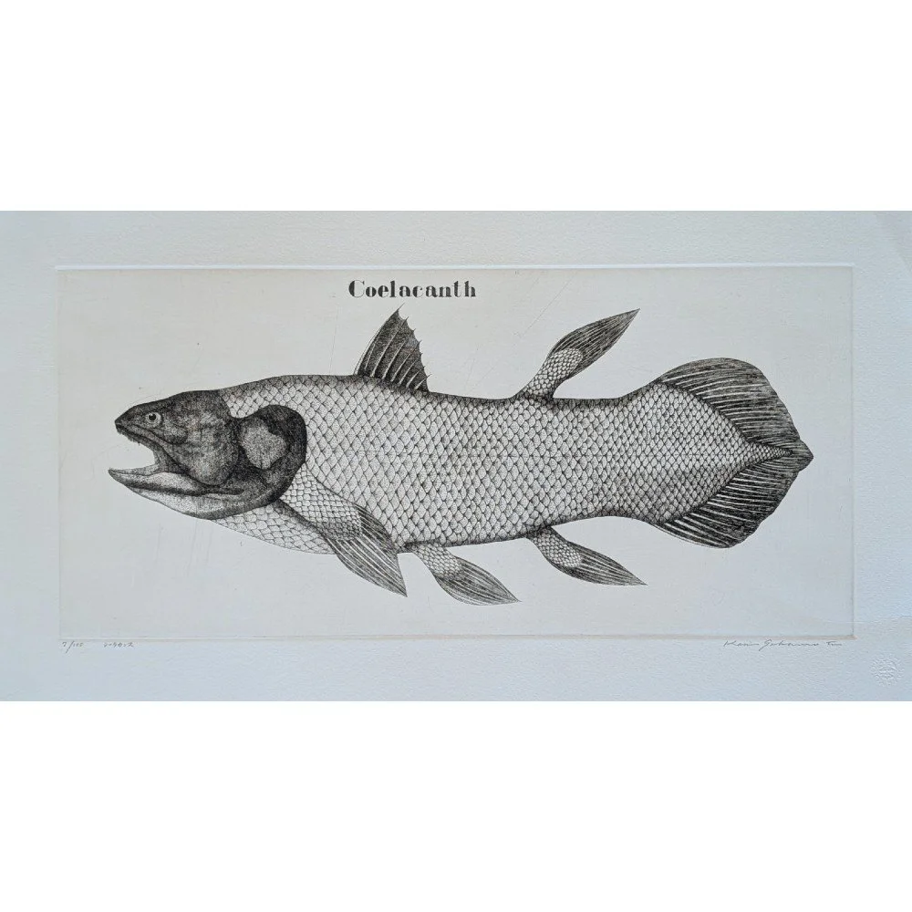 Coelacanthシーラカンス SWIM STANCE CHANGE 2枚 Coelacanthシーラカンス SWIM STANCE CHANGE 2枚